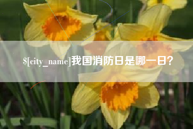 安丘我国消防日是哪一日？