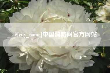 安丘中国消防网官方网站