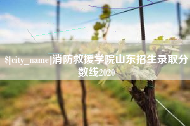 安丘消防救援学院山东招生录取分数线2020