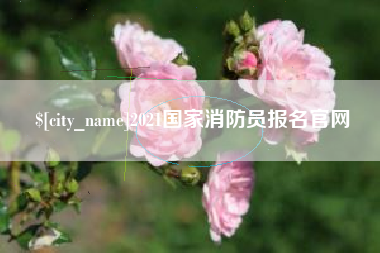 安丘2021国家消防员报名官网