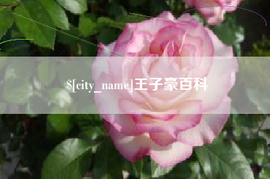安丘王子豪百科