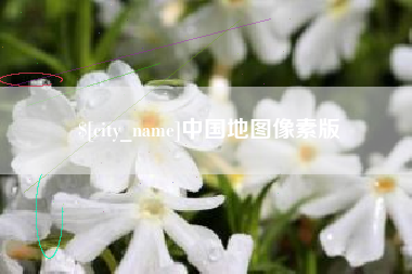 安丘中国地图像素版