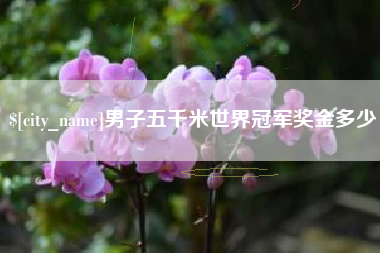 安丘男子五千米世界冠军奖金多少