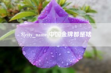 安丘中国金牌都是啥