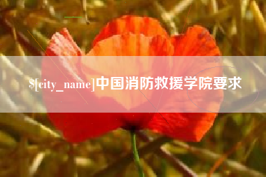 安丘中国消防救援学院要求