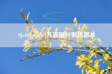 安丘九宫图分割线图片
