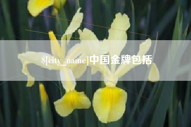 安丘中国金牌包括
