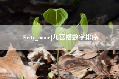 安丘九宫格数字排序
