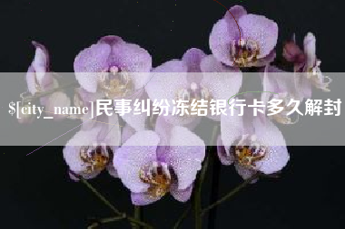 安丘民事纠纷冻结银行卡多久解封