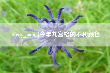 安丘今年九宫格的不利颜色