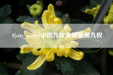 安丘中国九枚金牌是哪九枚
