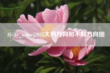 安丘2025大利方向和不利方向图