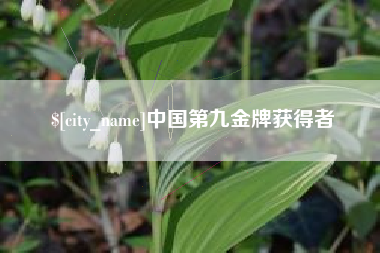 安丘中国第九金牌获得者