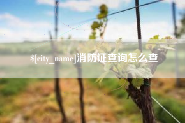 安丘消防证查询怎么查