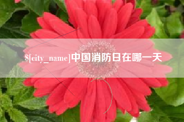 安丘中国消防日在哪一天