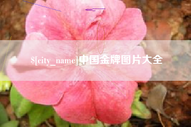 安丘中国金牌图片大全