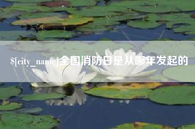 安丘全国消防日是从哪年发起的