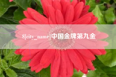 安丘中国金牌第九金