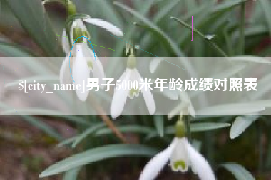 安丘男子5000米年龄成绩对照表