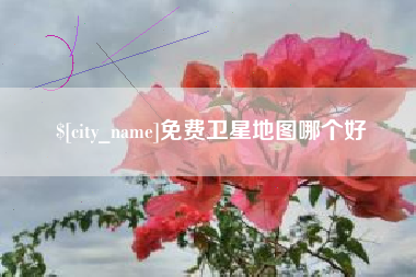 安丘免费卫星地图哪个好