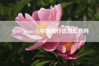 安丘1.中国执行信息公开网