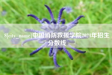 安丘中国消防救援学院2024年招生分数线