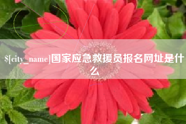 安丘国家应急救援员报名网址是什么