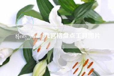 安丘九宫格盘点工具图片