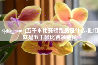 安丘五千米比赛领跑员是什么-他们就是五千米比赛领跑员