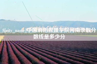 安丘中国消防救援学院河南录取分数线是多少分