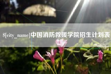 安丘中国消防救援学院招生计划表