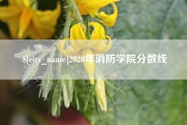 安丘2020年消防学院分数线