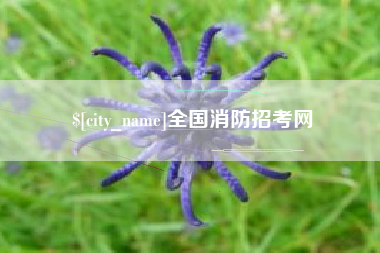 安丘全国消防招考网