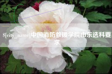 安丘中国消防救援学院山东选科要求