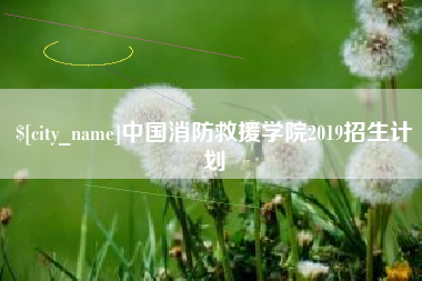 安丘中国消防救援学院2019招生计划