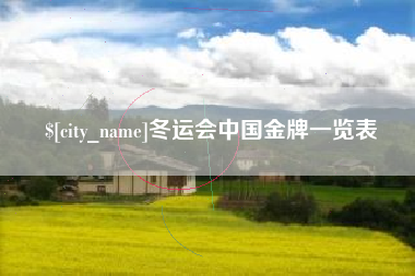 安丘冬运会中国金牌一览表