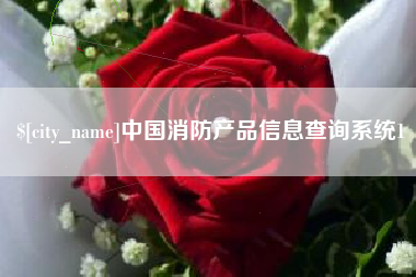 安丘中国消防产品信息查询系统1