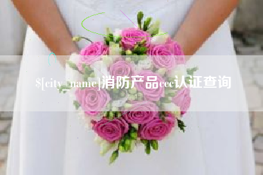 安丘消防产品ccc认证查询
