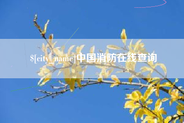 安丘中国消防在线查询