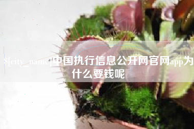 安丘中国执行信息公开网官网app为什么要钱呢