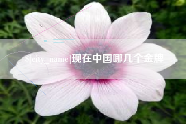 安丘现在中国哪几个金牌