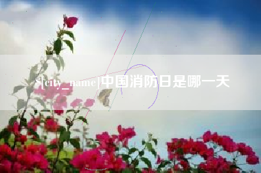 安丘中国消防日是哪一天