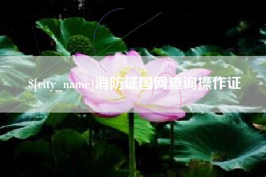 安丘消防证国网查询操作证
