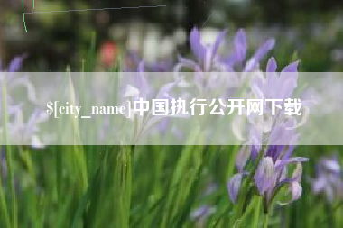 安丘中国执行公开网下载