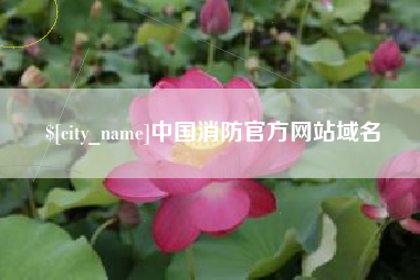 安丘中国消防官方网站域名