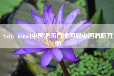 安丘中国消防直播回放中国消防直播