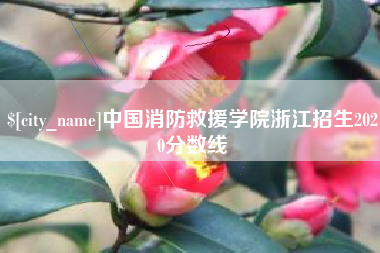 安丘中国消防救援学院浙江招生2020分数线