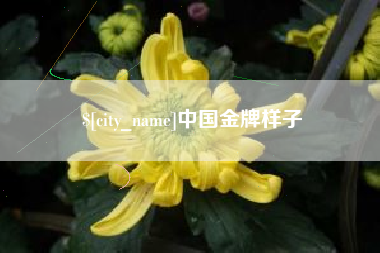 安丘中国金牌样子