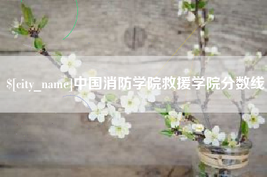 安丘中国消防学院救援学院分数线