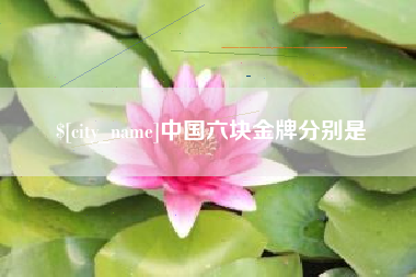 安丘中国六块金牌分别是